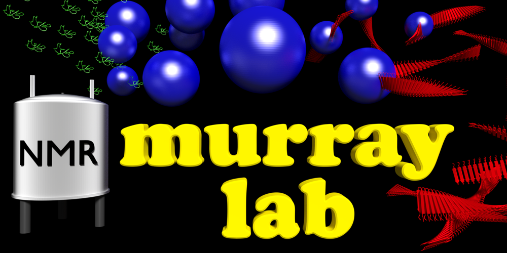 image showing the text "murray lab" surrounded by an NMR magnet and cartoon diagrams of protein assemblies.